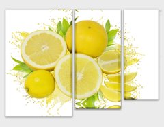 Модульна картина на полотні з 3-х частин "Лимони"