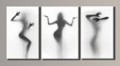 Модульна картина на полотні з 3-х частин "Жіночі силуети"