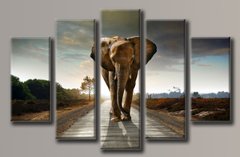 Модульна картина на полотні з 5-ти частин "Слон"