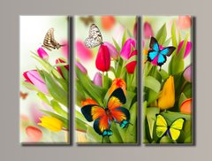 Модульная картина на холсте из 3-х частей "Бабочки на тюльпанах"