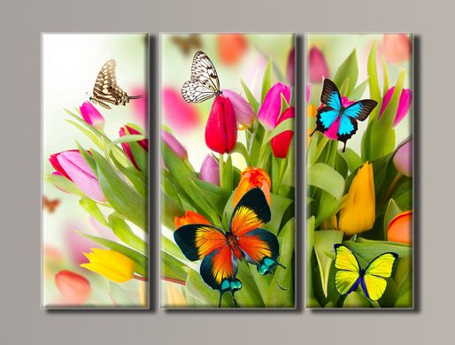 Модульна картина на полотні з 3-х частин "Метелики на тюльпанах"