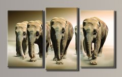 Модульна картина на полотні з 3-х частин "Слони в поле"