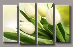 Модульная картина на холсте из 4-х частей "Белые тюльпаны"