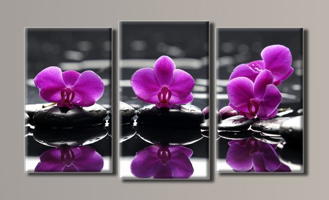 Модульна картина на полотні з 3-х частин "Орхідеї на камінні"