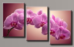 Модульная картина на холсте из 3-х частей "Розовая орхидея"
