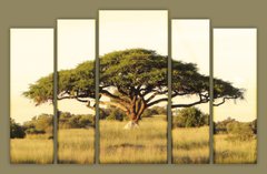Модульна картина на полотні з 5-ти частин "Африканське дерево"