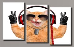 Модульна картина на полотні з 3-х частин "Кіт у навушниках"