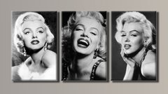 Модульна картина на полотні з 3-х частин "Marilyn Monroe"