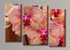 Модульная картина на холсте из 3-х частей "Розовые орхидеи"