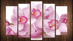 Модульна картина на полотні з 5-ти частин "Ніжна орхідея"