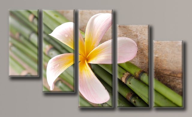 Модульная картина на холсте из 5-ти частей "Цветок на тростнике"