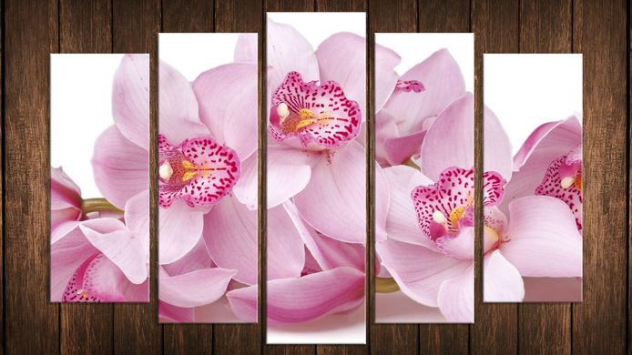 Модульная картина на холсте из 5-ти частей "Нежная орхидея"