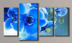 Модульная картина на холсте из 4-х частей "Синие орхидеи"