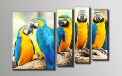 Модульна картина на полотні з 4-х частин "Папуги"