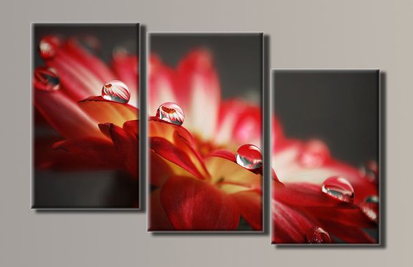 Модульна картина на полотні з 3-х частин "Краплі на квітці"