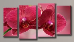 Модульная картина на холсте из 4-х частей "Бордовая орхидея"