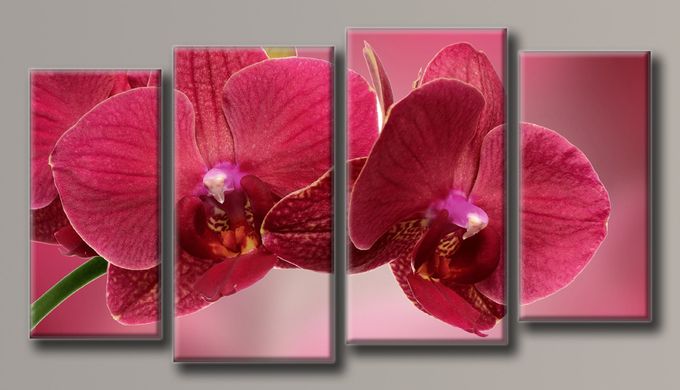 Модульна картина на полотні із 4-х частин "Бордова орхідея"