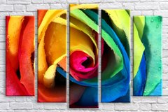 Модульная картина на холсте из 5-ти частей "Разноцветная роза"
