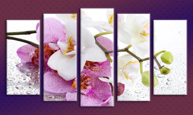 Модульная картина на холсте из 5-ти частей "Орхидея на стекле"