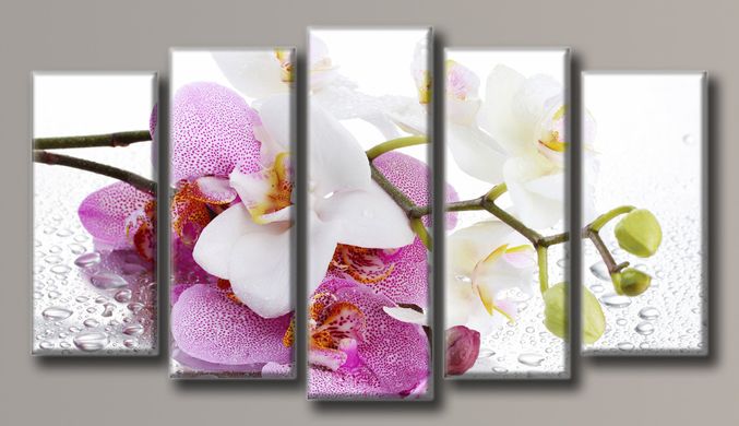 Модульна картина на полотні з 5-ти частин "Орхідея на склі"