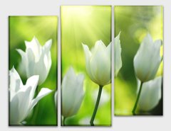 Модульная картина на холсте из 3-х частей "Белые тюльпаны"