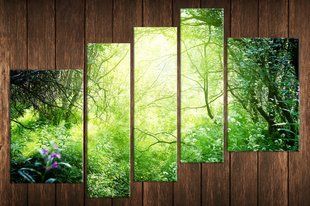 Модульная картина на холсте из 5-ти частей "Красивая природа"