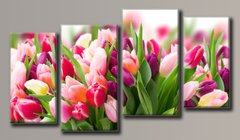 Модульная картина на холсте из 4-х частей "Розовые тюльпаны"