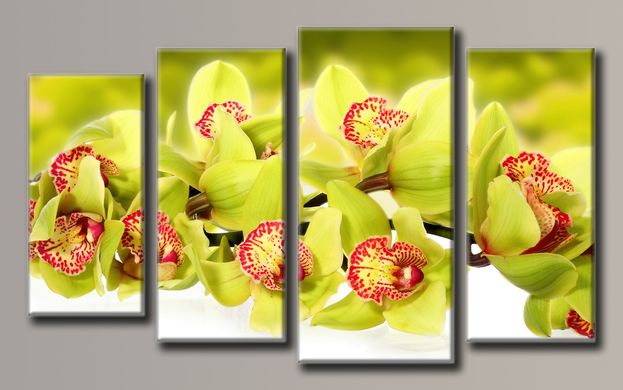 Модульна картина на полотні із 4-х частин "Зелена орхідея"