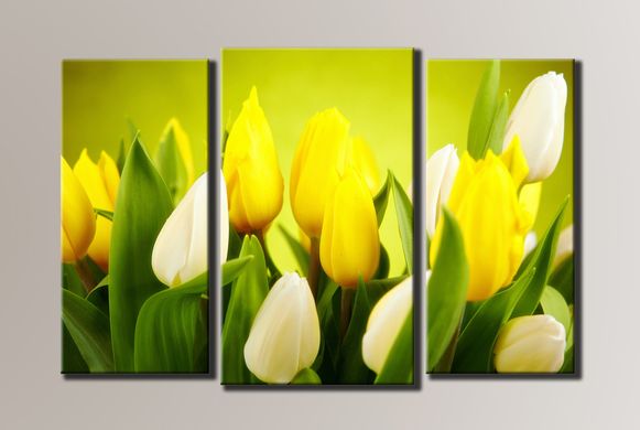 Модульна картина на полотні з 3-х частин "Тюльпани"