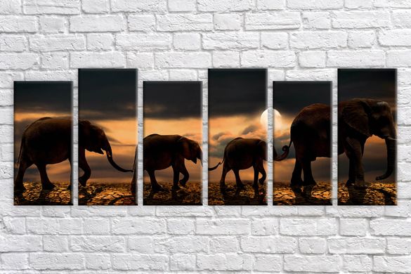 Модульна картина на полотні з 6-ти частин "Сім'я слонів"
