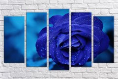 Модульна картина на полотні з 5-ти частин "Синя троянда"