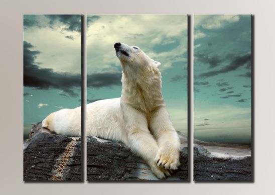 Модульная картина на холсте из 3-х частей "Белый медведь"