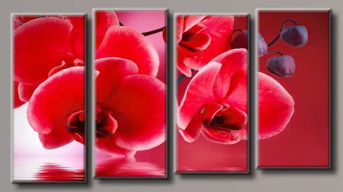 Модульна картина на полотні із 4-х частин "Червона орхідея"