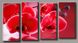 Модульна картина на полотні із 4-х частин "Червона орхідея"