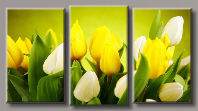 Модульная картина на холсте из 3-х частей "Желтые тюльпаны"
