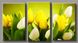 Модульна картина на полотні із 3-х частин "Жовті тюльпани"