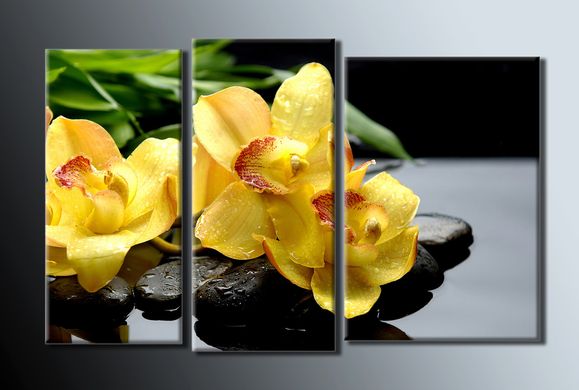 Модульна картина на полотні із 3-х частин "Жовті орхідеї"