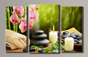 Модульная картина на холсте из 3-х частей "Spa"