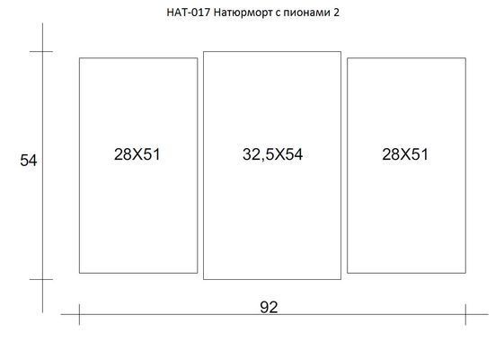 Модульна картина на полотні з 3-х частин "Натюрморт з півонії"