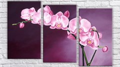 Модульная картина на холсте из 3-х частей "Орхидея живопись"