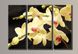 Модульна картина на полотні із 3-х частин "Жовта орхідея"