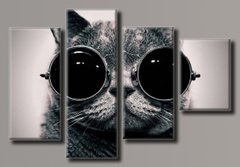 Модульная картина на холсте из 4-х частей "Кот в очках"