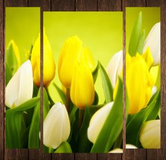 Модульна картина на полотні із 3-х частин "Жовті тюльпани"