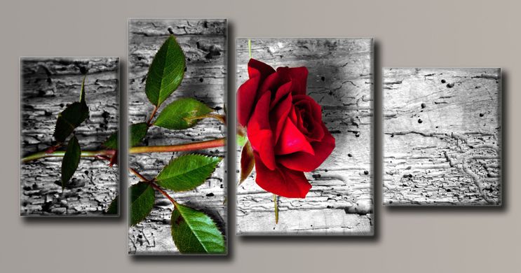 Модульная картина на холсте из 4-х частей "Красная роза"