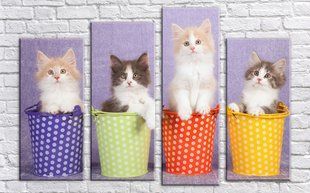 Модульная картина на холсте из 4-х частей "Котята"