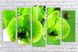 Модульная картина на холсте из 5-ти частей "Зеленая орхидея"