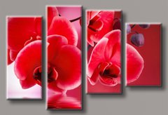Модульная картина на холсте из 4-х частей "Красная орхидея"